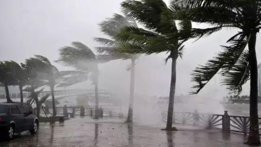 8月臺風雨即將來，除濕機還得用起來