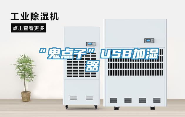 “鬼點子”USB加濕器