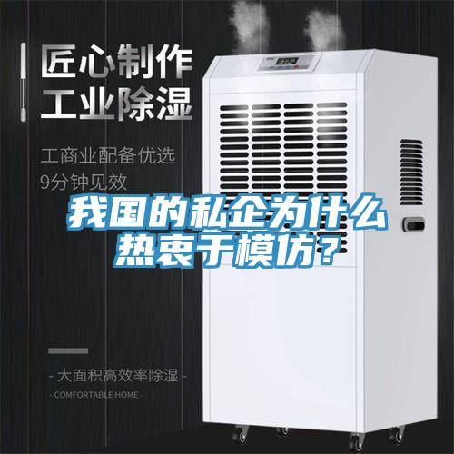 我國的私企為什么熱衷于模仿？