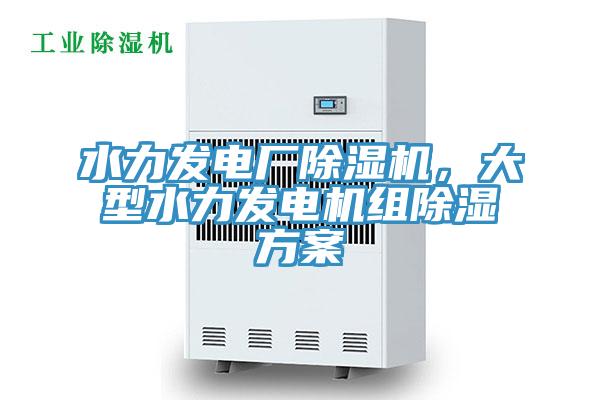 水力發(fā)電廠除濕機(jī)，大型水力發(fā)電機(jī)組除濕方案