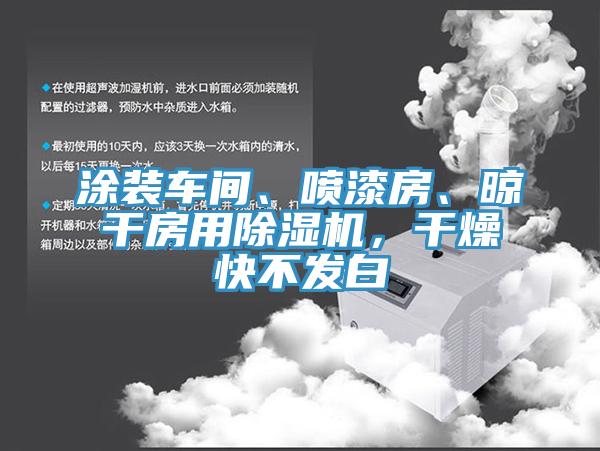 涂裝車間、噴漆房、晾干房用除濕機(jī)，干燥快不發(fā)白