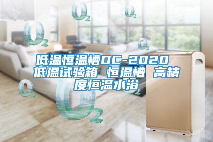 低溫恒溫槽DC-2020 低溫試驗箱 恒溫槽 高精度恒溫水浴