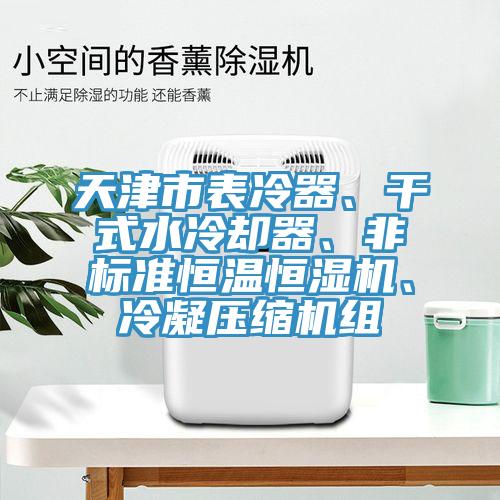 天津市表冷器、干式水冷卻器、非標(biāo)準(zhǔn)恒溫恒濕機(jī)、冷凝壓縮機(jī)組