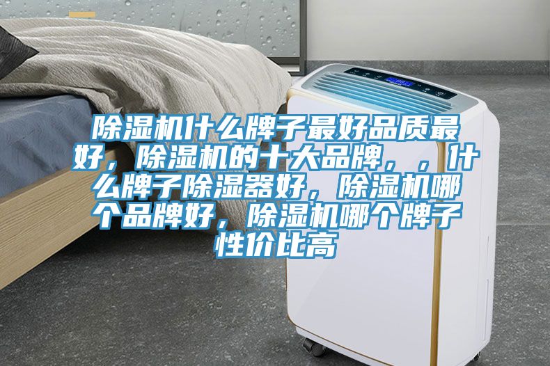 除濕機(jī)什么牌子最好品質(zhì)最好，除濕機(jī)的十大品牌，，什么牌子除濕器好，除濕機(jī)哪個品牌好，除濕機(jī)哪個牌子性價比高