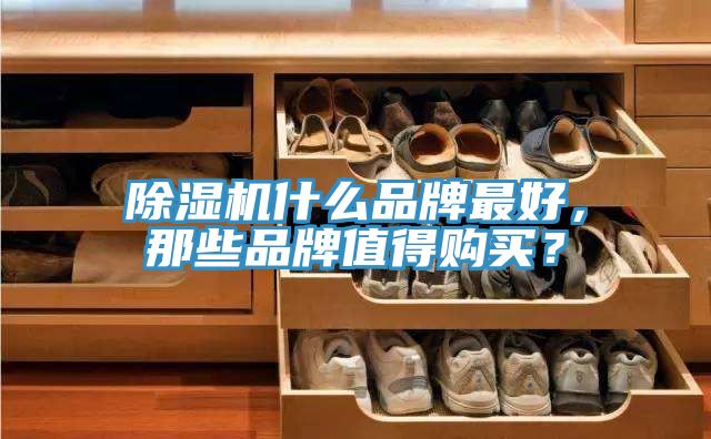 除濕機什么品牌最好，那些品牌值得購買？