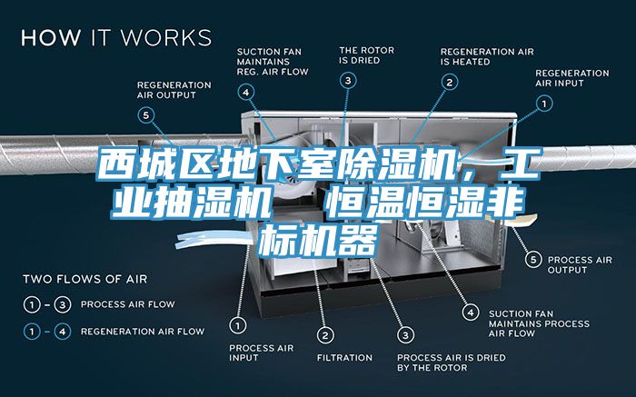 西城區(qū)地下室除濕機，工業(yè)抽濕機  恒溫恒濕非標(biāo)機器