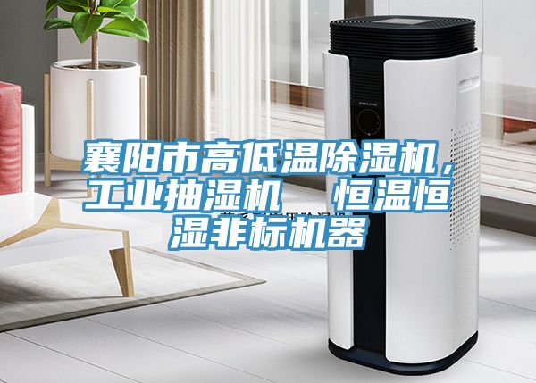 襄陽市高低溫除濕機，工業(yè)抽濕機  恒溫恒濕非標(biāo)機器