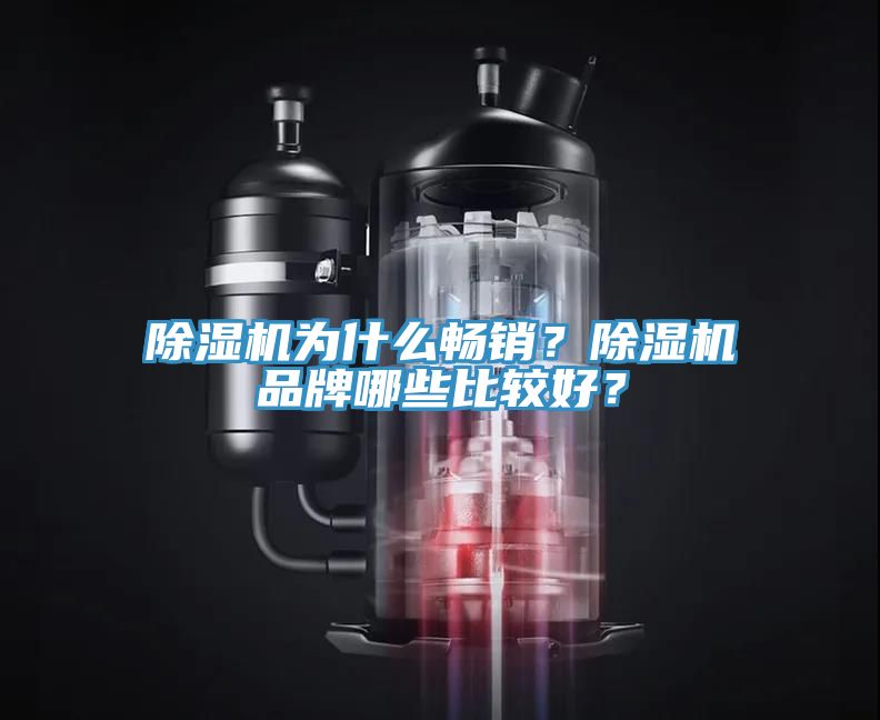 除濕機(jī)為什么暢銷？除濕機(jī)品牌哪些比較好？