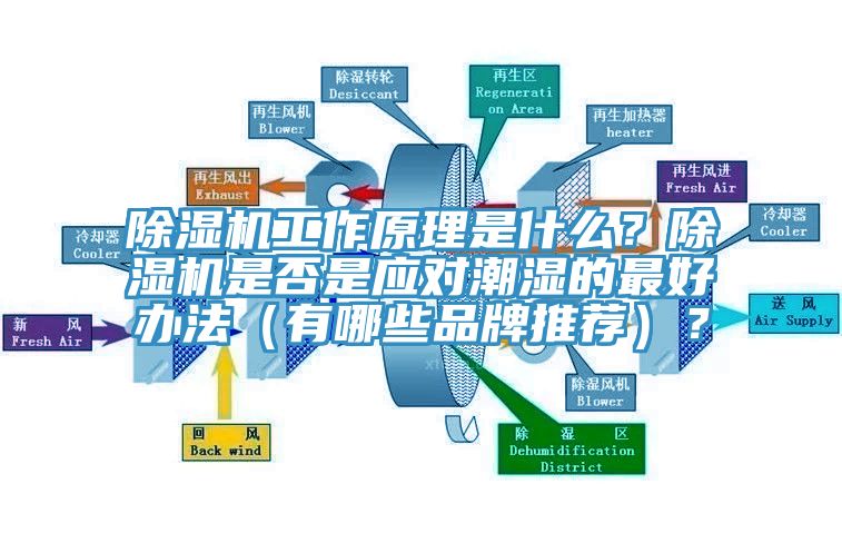 除濕機工作原理是什么？除濕機是否是應對潮濕的最好辦法（有哪些品牌推薦）？