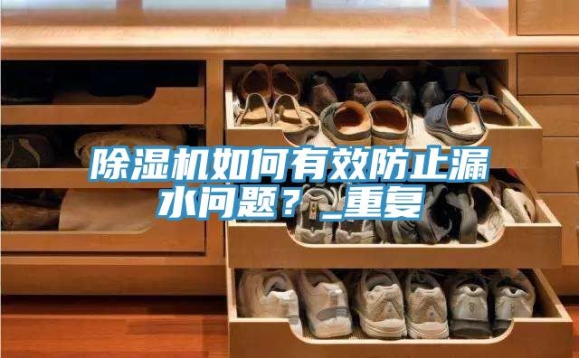 除濕機如何有效防止漏水問題？_重復