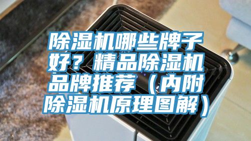 除濕機哪些牌子好？精品除濕機品牌推薦（內(nèi)附除濕機原理圖解）