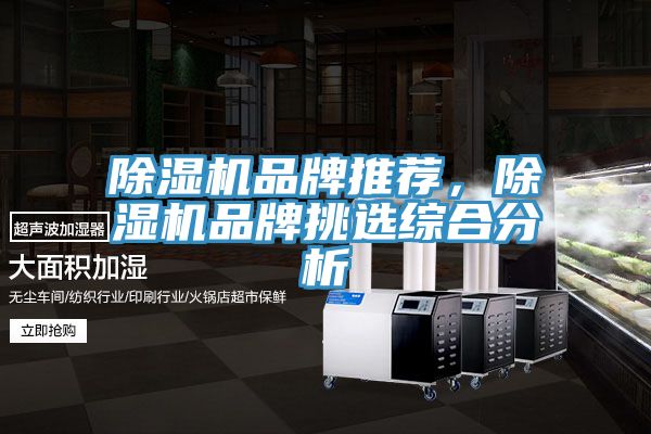 除濕機品牌推薦，除濕機品牌挑選綜合分析