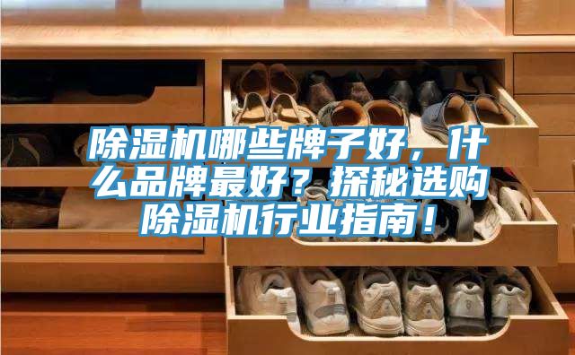 除濕機哪些牌子好，什么品牌最好？探秘選購除濕機行業(yè)指南！