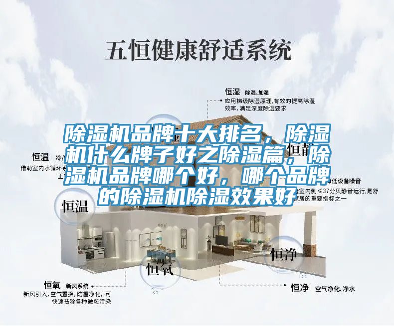 除濕機(jī)品牌十大排名，除濕機(jī)什么牌子好之除濕篇，除濕機(jī)品牌哪個(gè)好，哪個(gè)品牌的除濕機(jī)除濕效果好