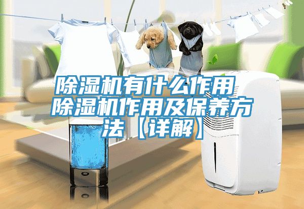 除濕機有什么作用 除濕機作用及保養(yǎng)方法【詳解】