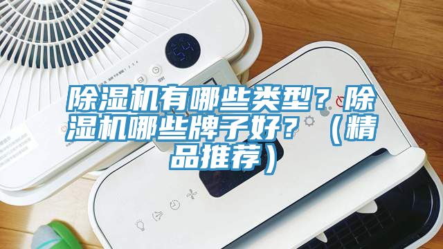 除濕機有哪些類型？除濕機哪些牌子好？（精品推薦）