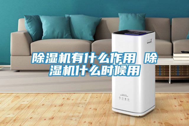 除濕機有什么作用 除濕機什么時候用