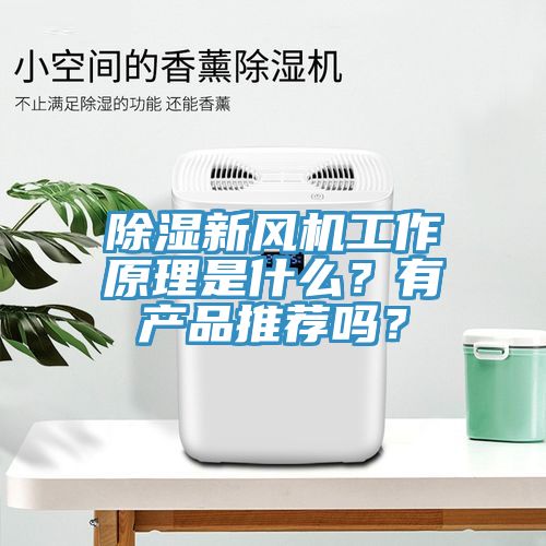 除濕新風(fēng)機(jī)工作原理是什么？有產(chǎn)品推薦嗎？