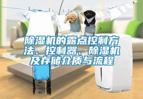 除濕機的露點控制方法、控制器、除濕機及存儲介質(zhì)與流程