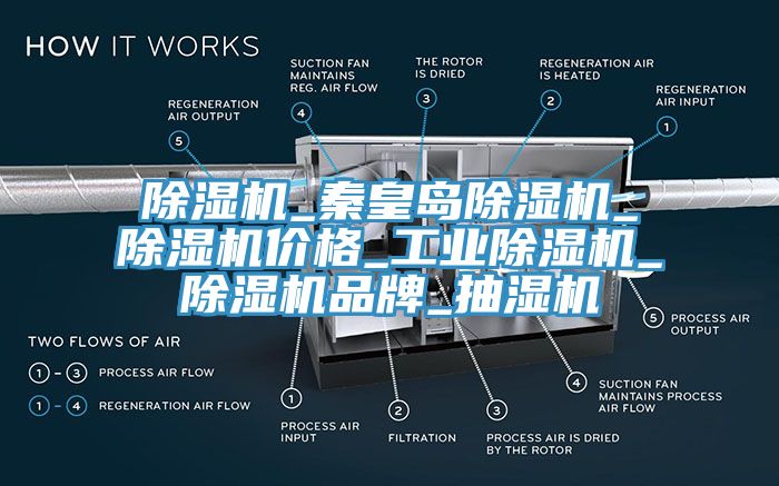 除濕機(jī)_秦皇島除濕機(jī)_除濕機(jī)價格_工業(yè)除濕機(jī)_除濕機(jī)品牌_抽濕機(jī)